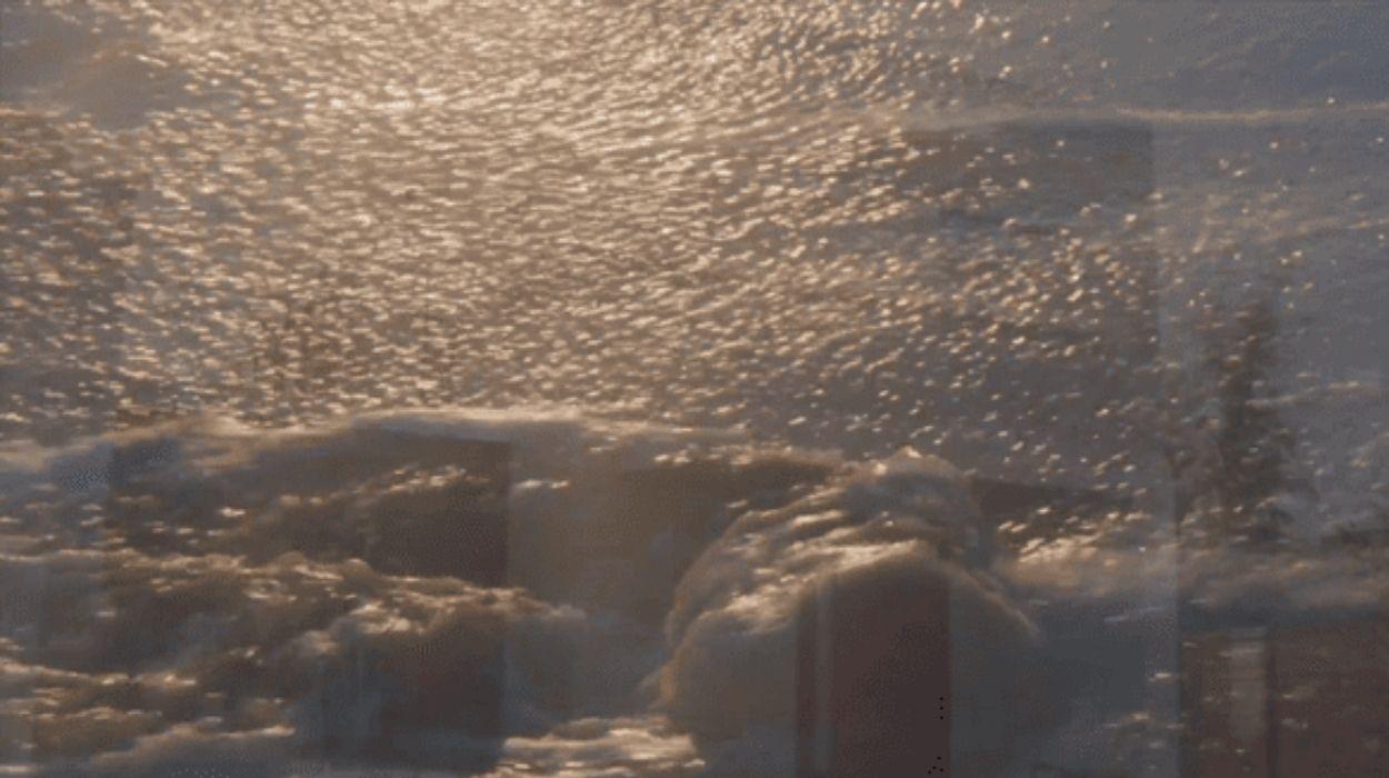 Lela Star Keeps Herself Busy When Her Husband Is Out